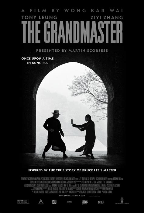 一代宗師|The Grandmaster (2013)